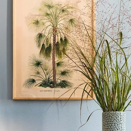 Brilliant * ברלין