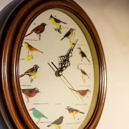 Brilliant ברלין