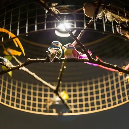 Brilliant * ברלין