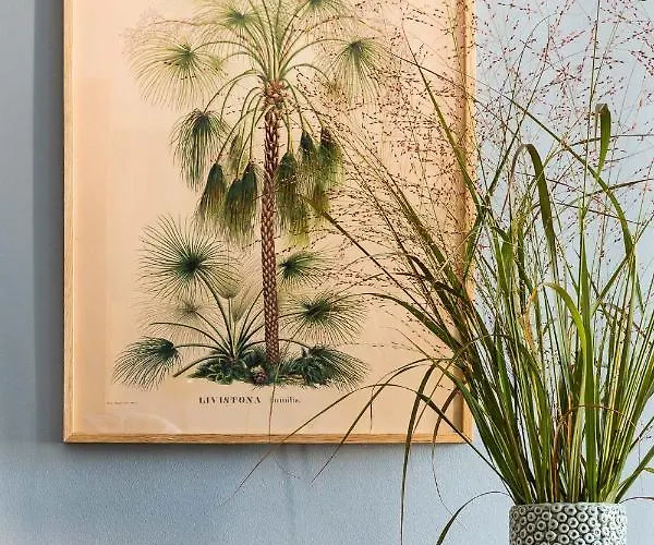 Brilliant * 베를린